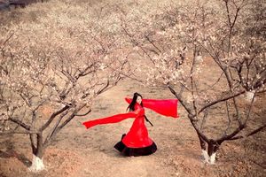 成行【梅花三弄】18日周六超山赏唐宋古梅，找寻"六瓣"梅花！漫步"江南十大古镇之首" 塘栖古镇