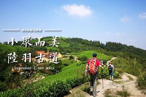 【阳光 | 陆羽古道】2月14日（初三）徒步陆羽古道，走双林三桥！柴火灶头大铁锅，为了一碗香喷喷刘伶红烧羊肉！