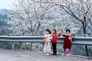 【会员特价99元 | 四明山樱花村】2月28日（周日）徒步四明山神秘村庄，被樱桃花包围，如同世外桃源！