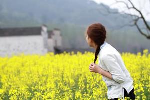 【阳光 | 徽州春色】3月26-27日（周末）徽州西递油菜花，五里村桃花，卢村油菜花︱白墙黑瓦间，是那花色的温柔