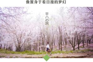 2021年3月22日【遇见·樱花-花季贵州】