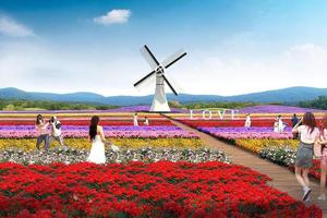 【阳光五一假日 | 玫瑰园美拍】5月1日穿越到富春江畔，聆听玫瑰花开的声音！新沙岛已变成“爱情岛”！