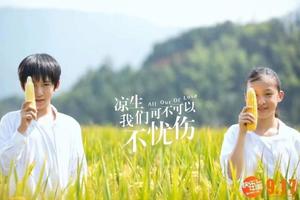 阳光【国庆-丽水云和梯田】10月1-2日云和梯田-古堰画乡，由慢时光小镇至云海古村的探索之旅