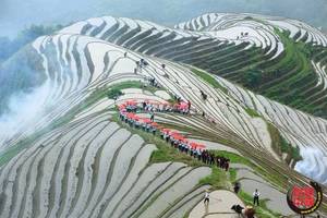 【阳光端午节 | 美丽中国桂林5日】6月12日龙脊梳秧节，点燃竹竿火把载歌载舞，梳秧闹春耕！