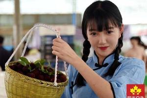 【阳光 | 网红神仙居+采摘东魁杨梅】6月19日杨梅采摘 打卡网红如意桥 卧龙桥 莲花台 5A壮美神仙居一日游