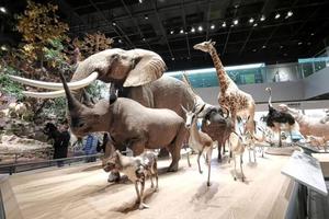 【阳光 | 探索自然博物馆亲子游】8月01日（周日）凉爽安吉，激情水战——天目山漂流季，火爆来袭！