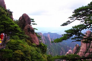 550元吃住索道全含了【阳光 | 三清山避暑免门票】7月24-25日世界自然遗产三清山，玻璃栈道等你来探！险！