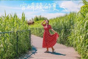 【阳光 | 下渚湖】9月11日中国最美湿地-下渚湖，走迷宫寻最美芦花，新市古镇访古休闲摄影一日游