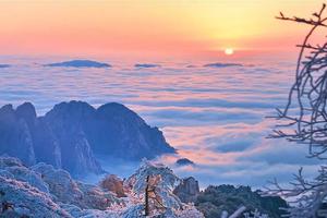 「黄山雪景雾淞」1.15-16日住黄山山顶天气条件绝佳！大黄山全景，赏无敌日落、日出、云海、雾松旷世美景二日活动！
