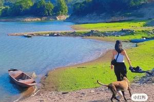 另订时间【寒山楼全牛肉宴】《长津湖》取景地爆火出圈—行摄天台寒山湖，品天台小牛狗全牛肉宴，采购现做的天台年糕