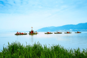 成行【阳光 | 不出杭州~摘草莓】1月9日（周日）漫步富春江畔，新鲜草莓畅吃，品建德美食寻梅州古城