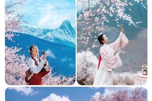 阳光组团【大美林芝】3.30-4.6日冰雪包裹的桃花才是中国最美的春天