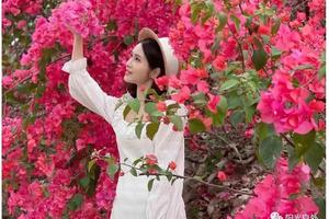 阳光组团4.9-15日【遇见·深度黔东南+毕节百里杜鹃】贵州精华七日游