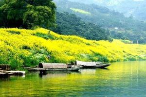 【阳光独家设计线路 | 新安江山水画廊】3月25晚-26日徙步徽州新安江，烟雨三月，山色空濛，云雾缭绕，船渡油菜花海中