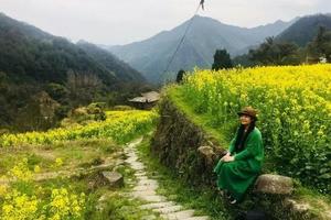 成行【阳光 | 不出杭州】4月3日（周日）建德胥岭油菜花，百亩金色梯田，徒步千年古官道，穿梭梯田花海中，品味春日江南！