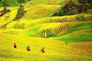 【桂林第二期特惠1580元】9/17-22日金秋桂林山水风光，桂北瑶侗风情纯玩6日行摄