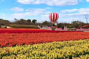 阳光【杭州周边游】9月25日（周日）探寻隐匿在江南的深奥古镇，中国最美乡村-获浦花海，品桐庐本土农家菜一日休闲摄影游