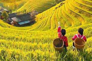 【阳光 | 金秋桂林特价1980元】10月16-21日金秋十月湘桂两省世界双自然遗产地户外徒步摄影纯玩6日游