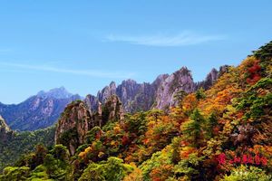 成行【阳光-金秋黄山】11月1-2日黄山秋日美，船游太平湖风光，湖水碧绿，如人间仙境二日摄影游