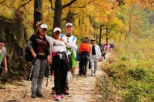 阳光【黄南古道红枫红120元】12月03日（周六）轻装徒步摄影，老树昏鸦，秋风梯田，醉人红叶，黄南古道一日行！