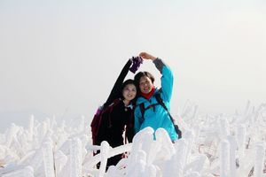 阳光【金华北山雾淞】观天象掐指一算，1月23日（周二）金华北山大盘尖（1314米）爱您一生一世，赏江南最美雾淞！