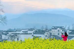 【全景婺源】4月3-5日江岭-篁岭-庆源，春色无边油菜花海，打卡网红花海公路，《闪闪的红星》《我不是潘金莲》拍摄景点