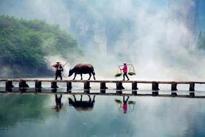 免门票【缙云杏花村】3月11-12日(周末) 行摄缙云杏花村，春天的童话，秘境仙都油菜花，古堰画乡，打卡网红岩宕书房