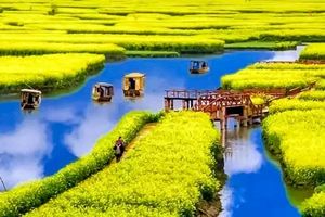 定制团【烟花三月下扬州三日游】4月6-8日阳春三月，烟雨瘦西湖，千亩油菜花，漫游江南春！