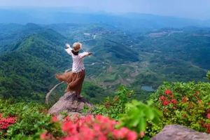 【阳光 | 杜鹃花开】4月9日超经典休闲徒步，新昌大岩岗赏映山红，徙步丹霞韩妃江，观倒脱靴奇景！