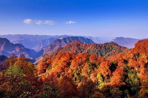 阳光组队【秋醉红叶-相约秦巴】10月21-26日光雾山-黎坪红叶节-龙头山云海-十八月潭6日深秋探秘之旅！