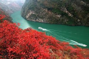阳光组队【红叶醉三峡5日】11月18-22日从上帝视角俯瞰巴楚风韵，在最美的季节遇见你