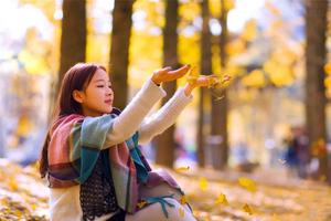 阳光含船票128元【银杏黄了！】11月30日（周六）诸暨船游五泄+灵山坞，赏华东最美银杏林，一起去寻找浙江最美的秋天！