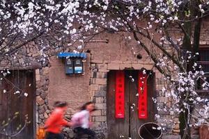 阳光【春天花季-仙都】3月9-10日丽水缙云隐藏在浙江的古村落，杏花开后，藏着整个江南春天，美成仙境！ 