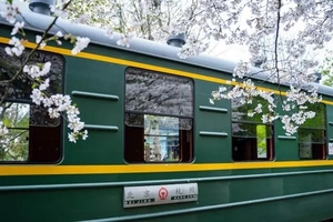 【免费摄影活动】3月21日搭乘绿皮火车，穿行樱花雨中，来杭州白塔公园追这份浪漫美好吧