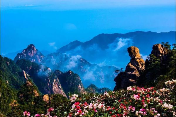 已成行【阳光 | 遇见绝美高山杜鹃】5.18-19日人间仙境三清山高山杜鹃花盛开，山谷里的清明上河图--望仙谷。