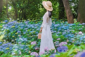 王哥义务带队【蓝色花海摄影】5月28日（周二）杭州临平山，邂逅这一片蓝色绣球花海，美到哭！（地铁出行）