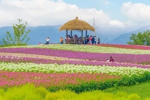 阳光【拈花问佛︱问禅径山寺】10月30日（周三）徜徉径山花海，感受秋日浪漫，休闲摄影一日游
