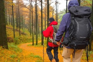 「阳光徙步摄影︱四明问秋」11.9日（周六）四明山漫山尽是黄金甲，踏松针落叶，十字裤－仰天湖经典秋色环线…