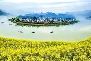 已成行！【徽州春色+祈福齐云山】3月22-23日游船新安江山水画廊，赏皖南春色，石潭徙步花海梯田，拜访道教名山齐云山！