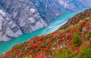 【已成行】11.26-30日：三峡红叶||白帝城+瞿塘峡，巫山红叶文峰观，三峡之巅+66拐，神女天路5日游