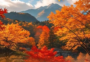 10.28-3号特价2500元：光雾山、米仓山、十八月潭、阆中古城、剑门关、翠云廊、千佛崖、青木川古镇、金牛古道7日深游