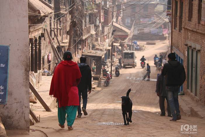 我的尼泊尔洒红节之旅，竟然那么艳爆！