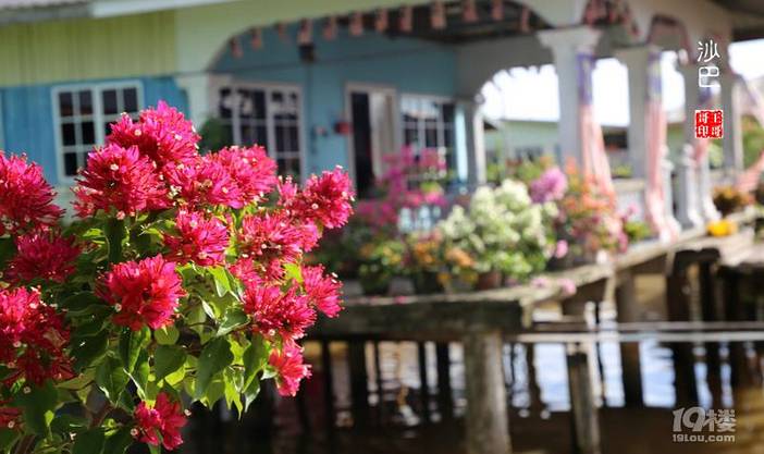 这里美的象童话世界，沙巴和仙本那八日游