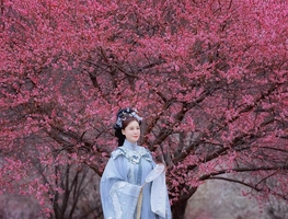 免费活动摄影丨2月3日杭州西溪湿地万株梅花盛开，12公里“水上花廊”太浪漫，阳光义务带队赏花游！