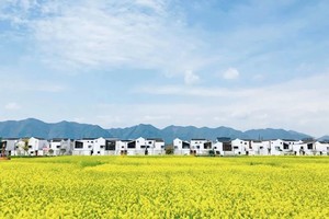 80元含轮渡3月28日【阳光单反摄影-春风十里富春江油菜花美极了！】探秘深奥古村、东梓关民居、桐洲岛漫步再不用去婺源啦！