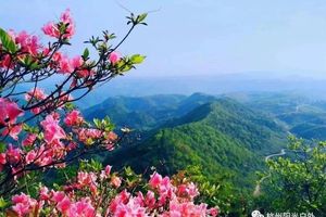 已成行！【新昌大岩岗~杜鹃花开了】4月12日徙步最美人间四月天，带你们去看大岩岗满山遍野杜鹃花，打卡倒脱靴，行摄韩妃江