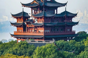 免费摄影漫游【阳光户外春日轻徙步】5.10日吴山五百岁楸树老树开花，积义亭绿野仙踪，蔡依林打卡地白蛇飞渡，万松书院