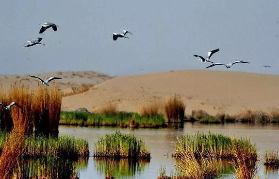 这十八个地方被称为中国摄影的圣地,快看看有没有你的家乡?