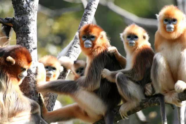 这十八个地方被称为中国摄影的圣地,快看看有没有你的家乡?