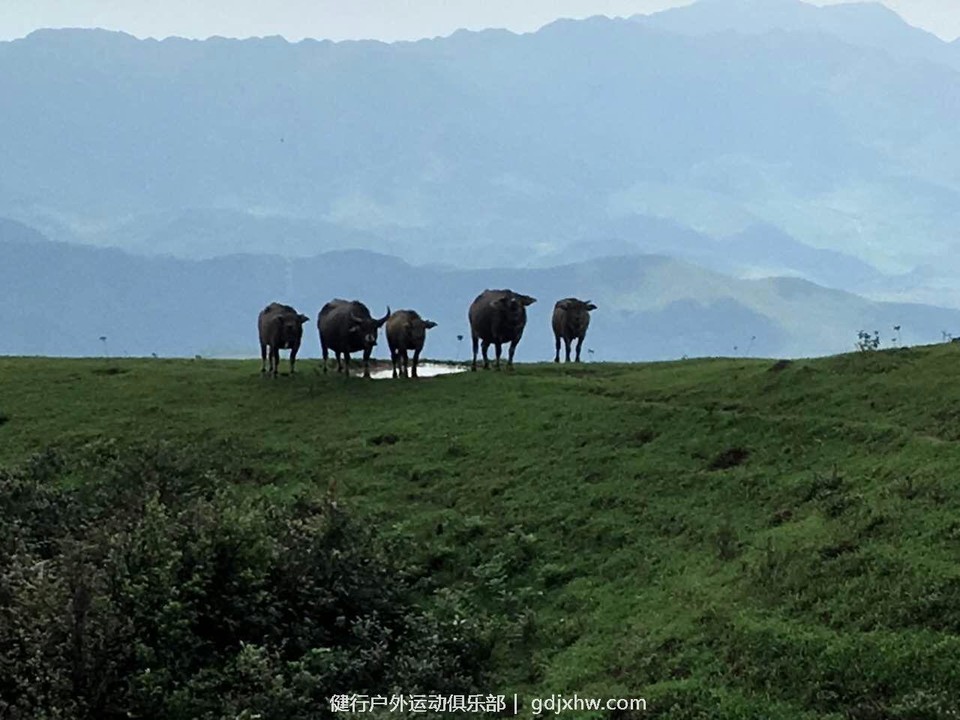 QQ图片20160503134506